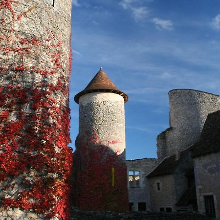 Chateau D'Ingrandes Ingrandes  Экстерьер фото