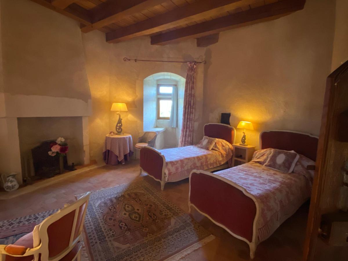 Chateau D'Ingrandes Ingrandes  Экстерьер фото