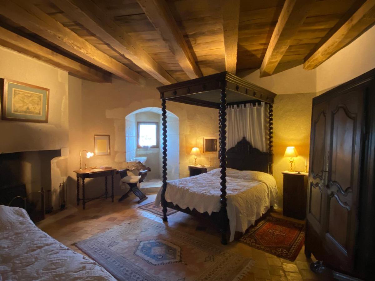 Chateau D'Ingrandes Ingrandes  Экстерьер фото