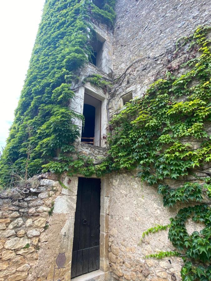Chateau D'Ingrandes Ingrandes  Экстерьер фото