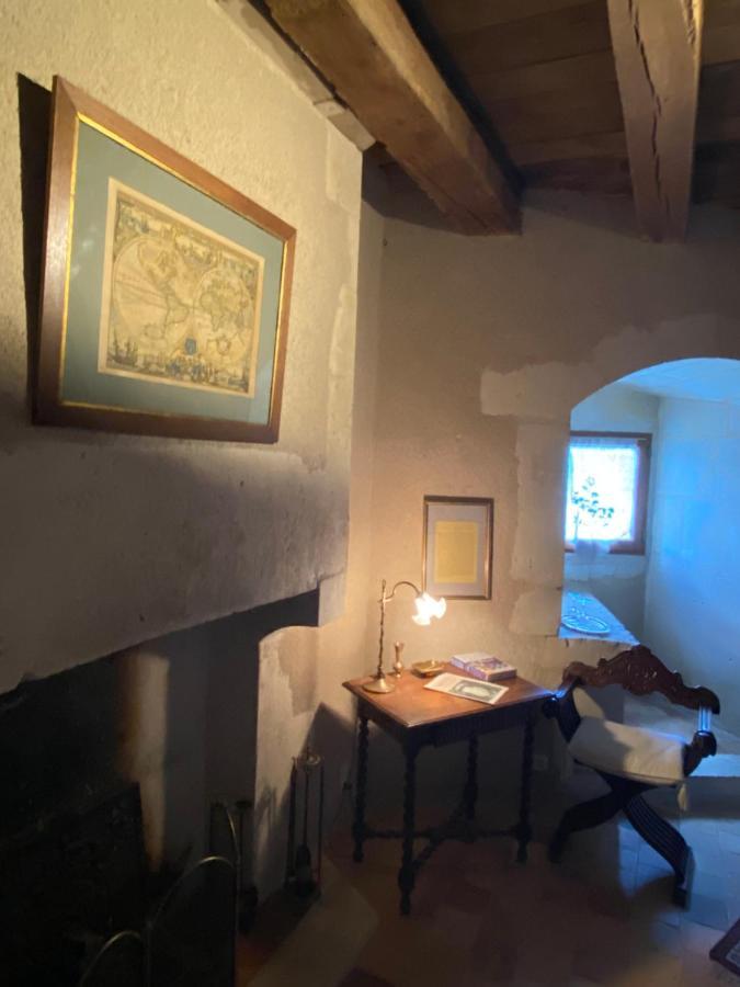 Chateau D'Ingrandes Ingrandes  Экстерьер фото