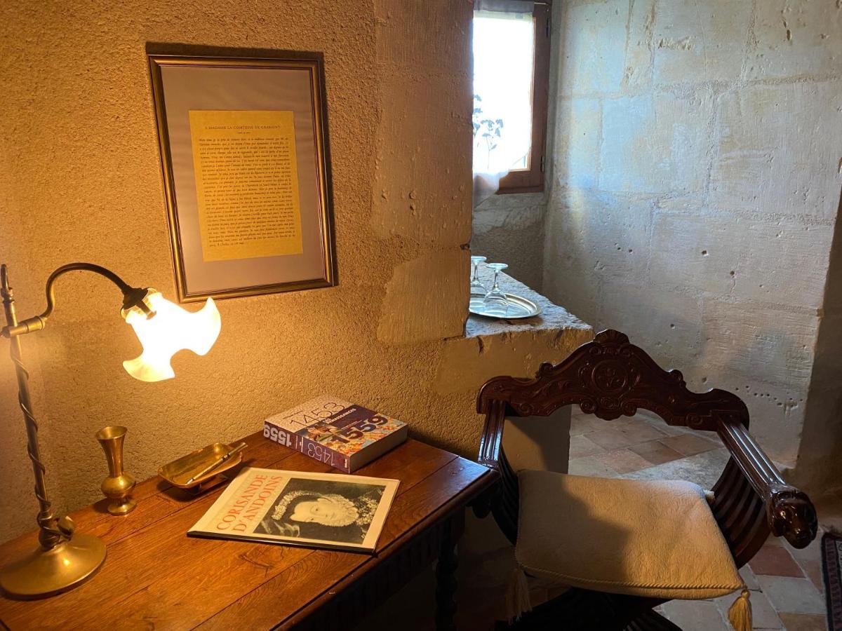 Chateau D'Ingrandes Ingrandes  Экстерьер фото