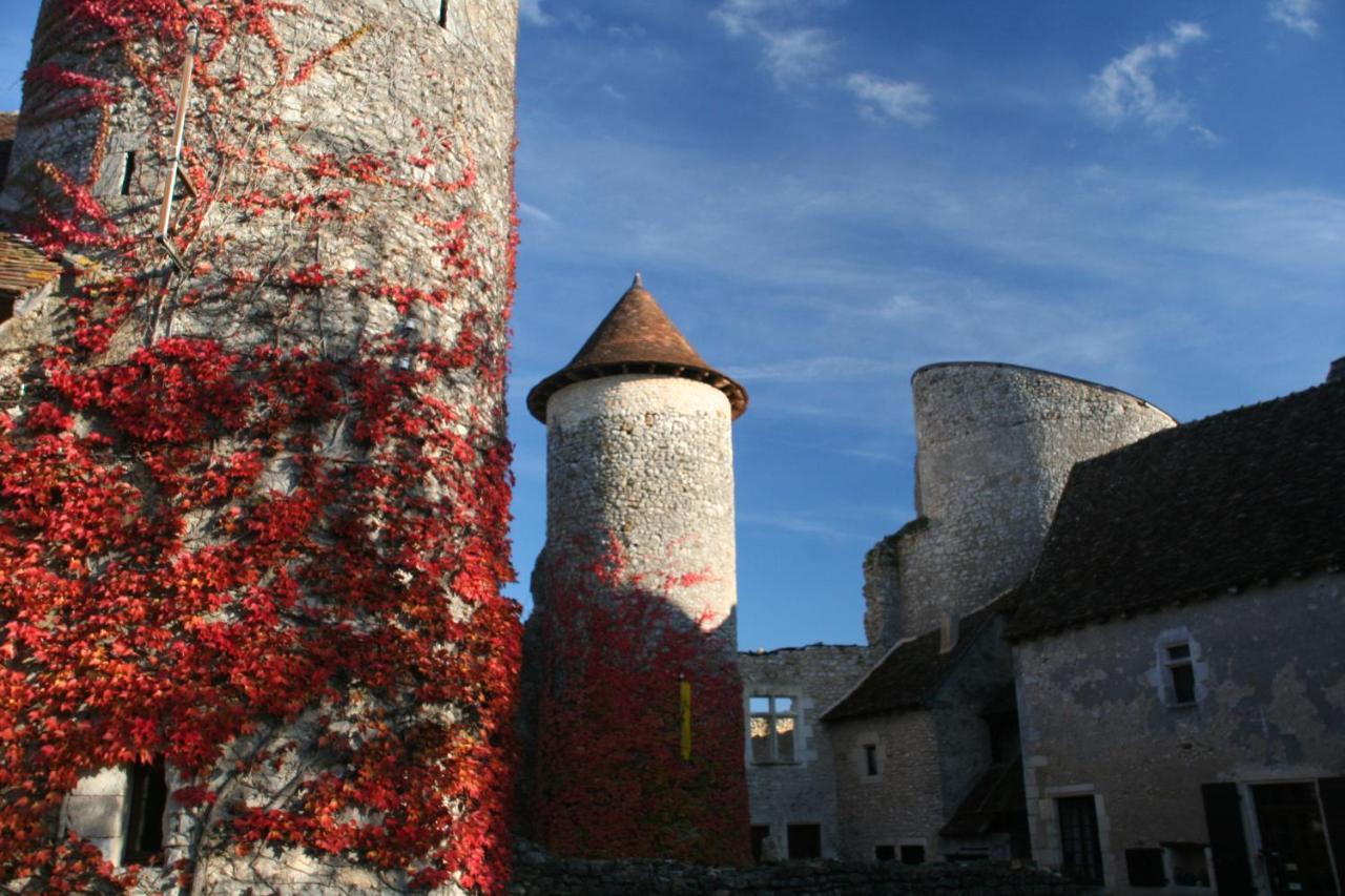 Chateau D'Ingrandes Ingrandes  Экстерьер фото