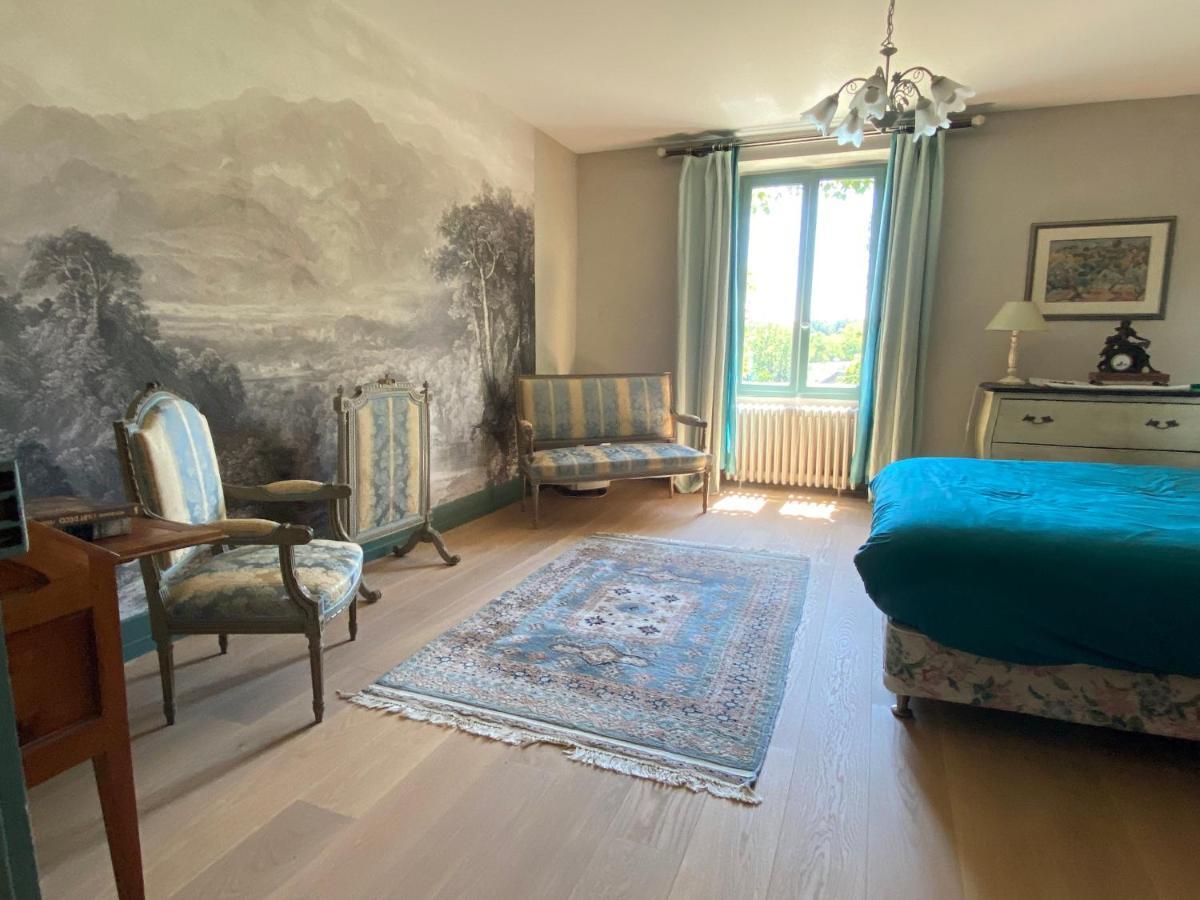 Chateau D'Ingrandes Ingrandes  Экстерьер фото