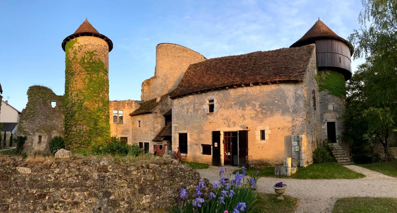 Chateau D'Ingrandes Ingrandes  Экстерьер фото