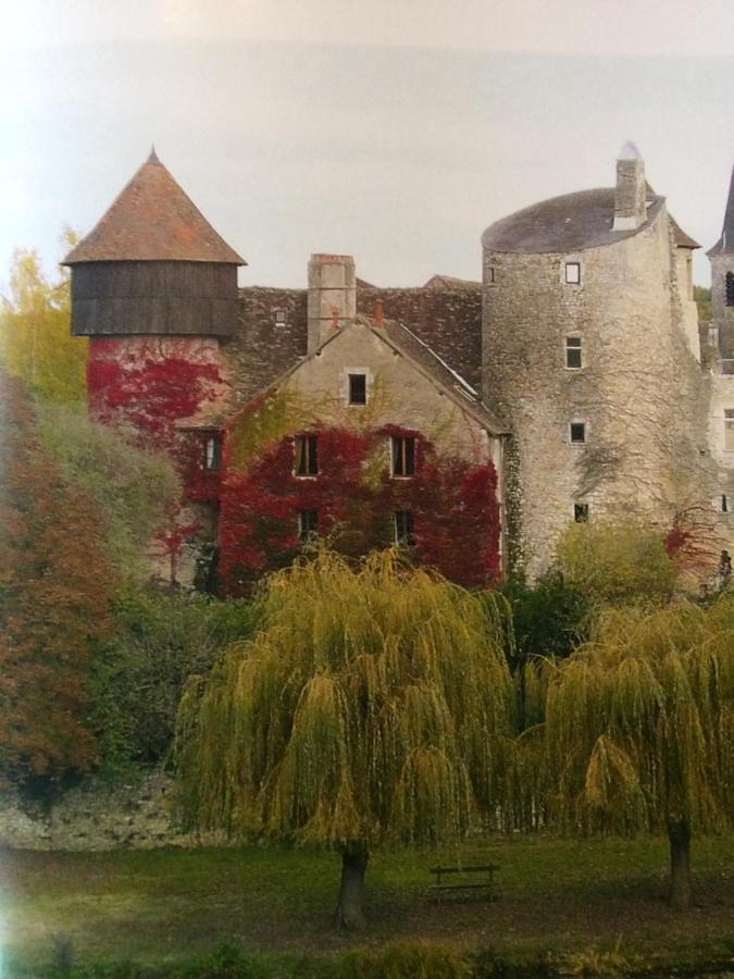 Chateau D'Ingrandes Ingrandes  Экстерьер фото