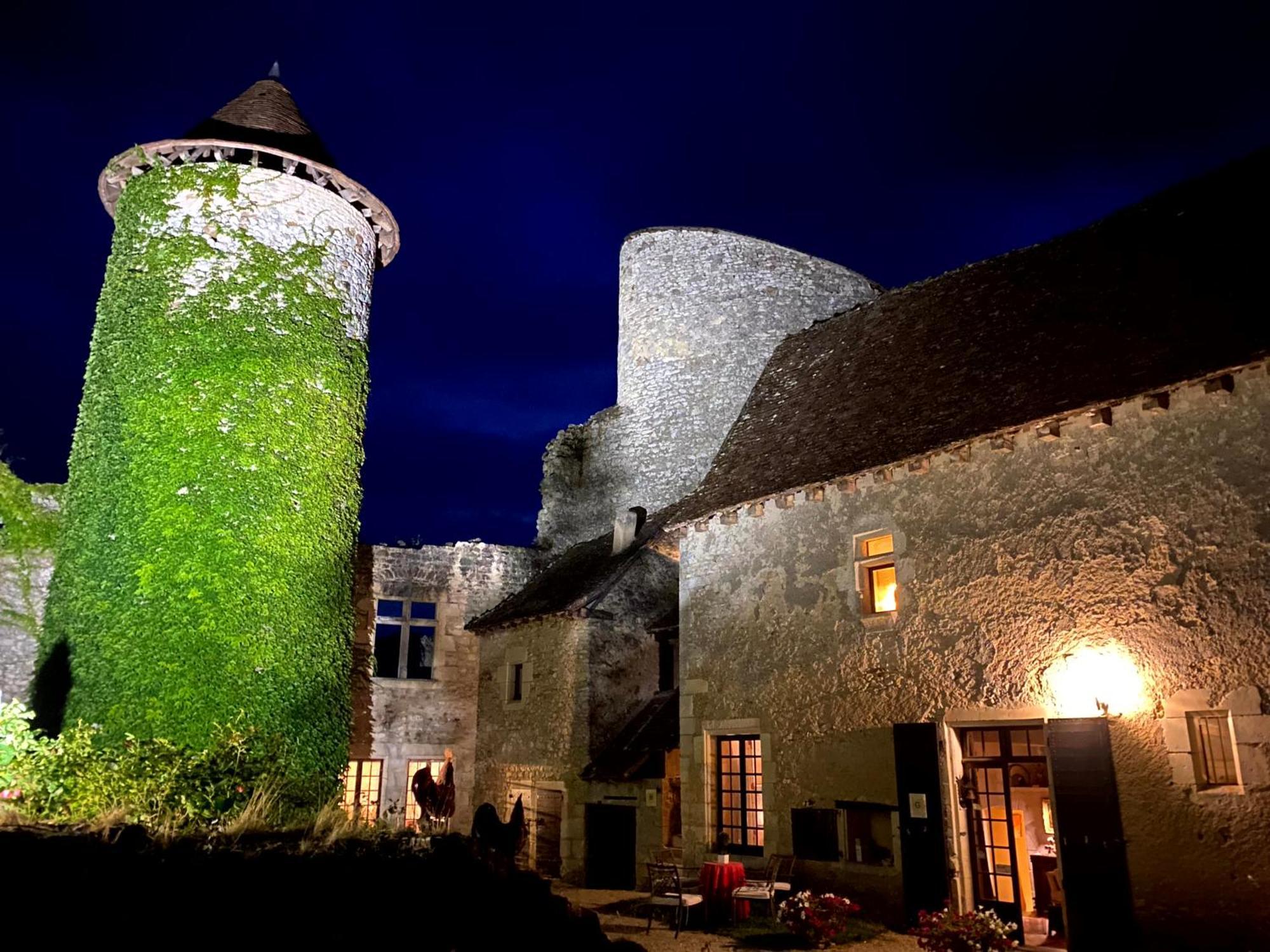 Chateau D'Ingrandes Ingrandes  Экстерьер фото