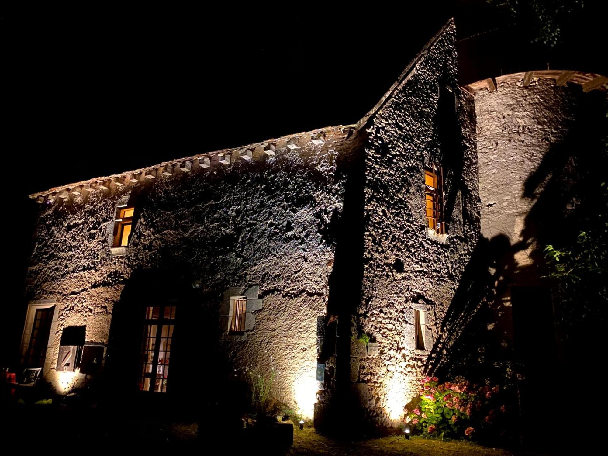Chateau D'Ingrandes Ingrandes  Экстерьер фото